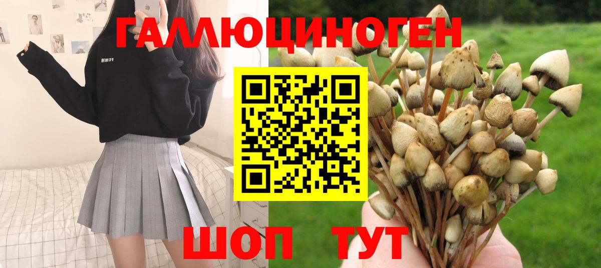 Псилоцибиновые грибы прущие грибы Зеленокумск