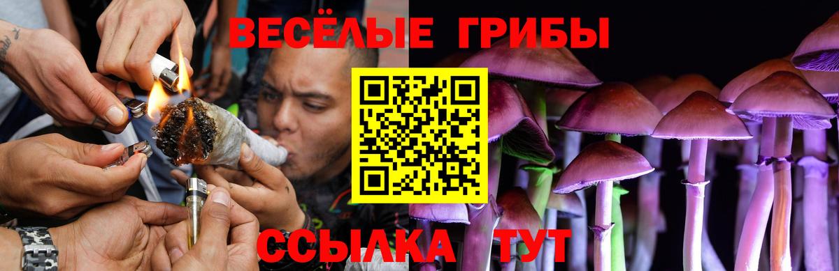 Галлюциногенные грибы прущие грибы  Вход с VPN  Зеленокумск  Галлюциногенные грибы прущие грибы 